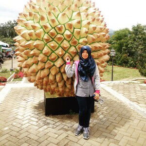 Alin Fitya profile icon