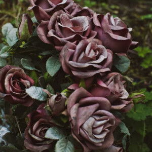 Na Jiha profile icon