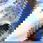 Maryam Fathimiy profile icon