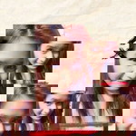 Mari Vic profile icon