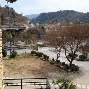 Ren Liu profile icon