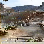 Ren Liu profile icon