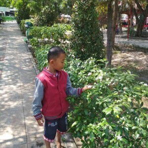 Lisa Yuliasari profile icon