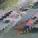 Rungnapa Pleawyard profile icon