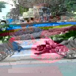 Chintia Aryanti profile icon