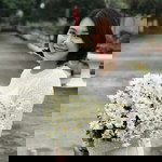 Bùi Việt Hoa profile icon