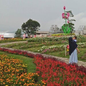 Andini Dwirifana profile icon