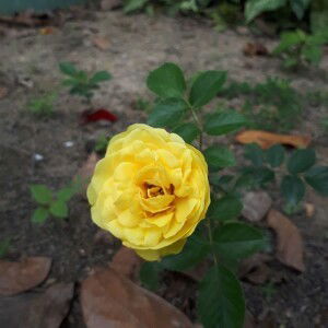 Đinh Thảo Uyên profile icon