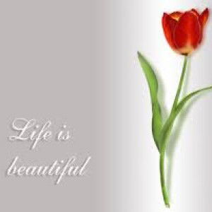 Siti Zahra Idris profile icon