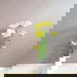 Nita Rohani profile icon