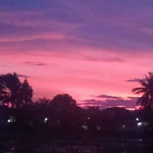 Vithree Iianii profile icon