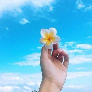 Nguyễn Nhi profile icon