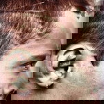 Ny Musfiq Ch profile icon