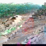 Rina Amalia Purba profile icon