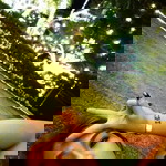 Aomjai Phim Ngoen profile icon