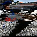 Revillia Rahmi profile icon