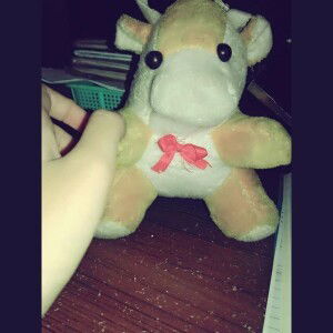 noknonikumalasari profile icon