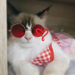 Chonnarin Chaimanee profile icon