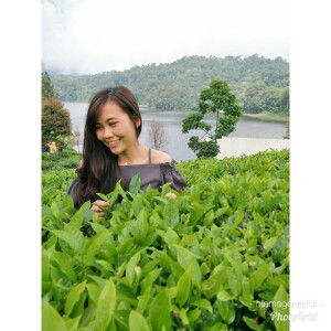 Olla Magenta profile icon