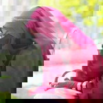 Anggitya profile icon