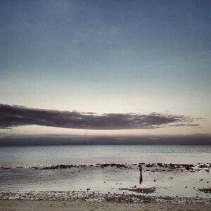 Flower Delta profile icon