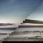 Flower Delta profile icon