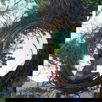 Jessica Reginaldo profile icon