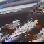 Zameela Wulan profile icon