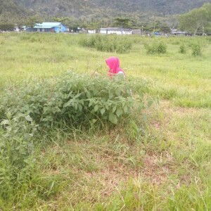 An-Na'ima Guna profile icon