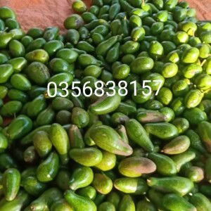 Hoa Bỉ Ngạn profile icon