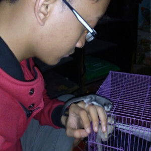 faishal fajrin profile icon