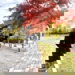 ສຸພັດດາ ດວງມະນີ profile icon