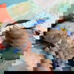 Nita Setiawan profile icon