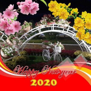 Tram Huyen profile icon