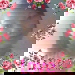 Mai Trang profile icon