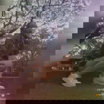 Denethy Sarmiento Villareal II profile icon