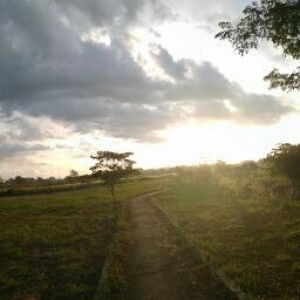 Veramia Bonita profile icon