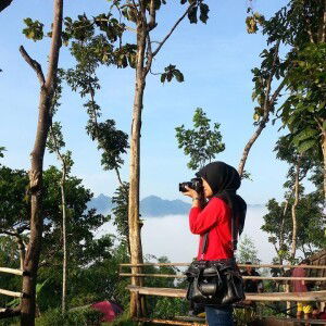 Fitri Phea profile icon