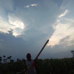 Herry santoso profile icon