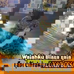 Erny H. R. profile icon