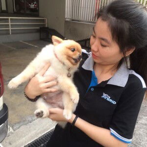 Nutsara Phoemtoemchit profile icon