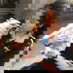 Nutsara Phoemtoemchit profile icon