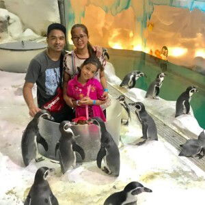 Dumaua Feifei Maryfe profile icon