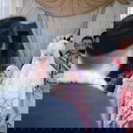 Dina Permatasari profile icon