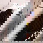 Lily Stockist Msi Blitar-Kademangan profile icon