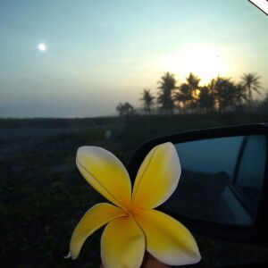 Desi Elvasari profile icon