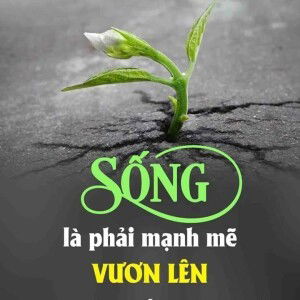 Yên Bình profile icon