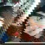 Keyt Lovino profile icon