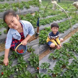 Rubilyn Del Campo profile icon