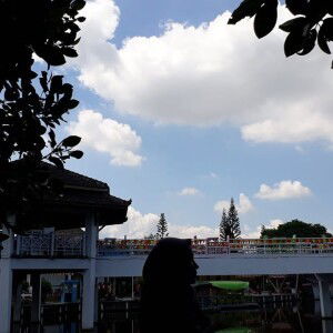 Dian Yulia profile icon